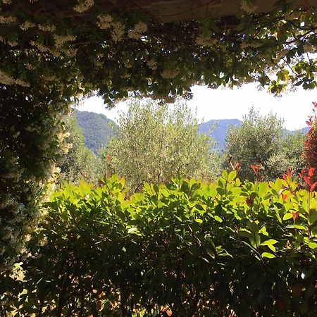 Agriturismo Tenuta La Fratta Bagni di Lucca Extérieur photo