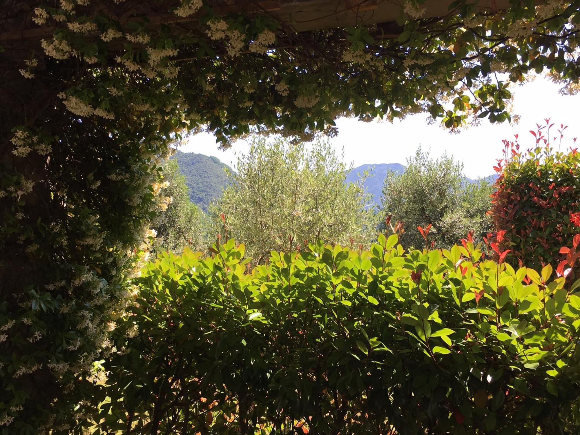 Agriturismo Tenuta La Fratta Bagni di Lucca Extérieur photo
