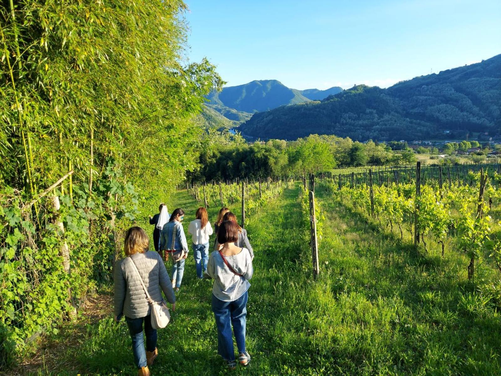 Agriturismo Tenuta La Fratta Bagni di Lucca Extérieur photo