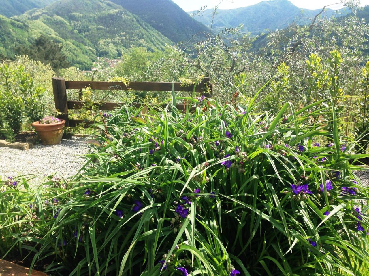 Agriturismo Tenuta La Fratta Bagni di Lucca Extérieur photo